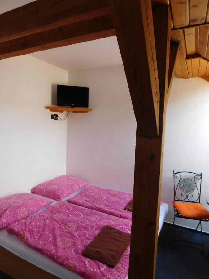 Pension U Mojmira Rokytnice nad Jizerou Exteriör bild