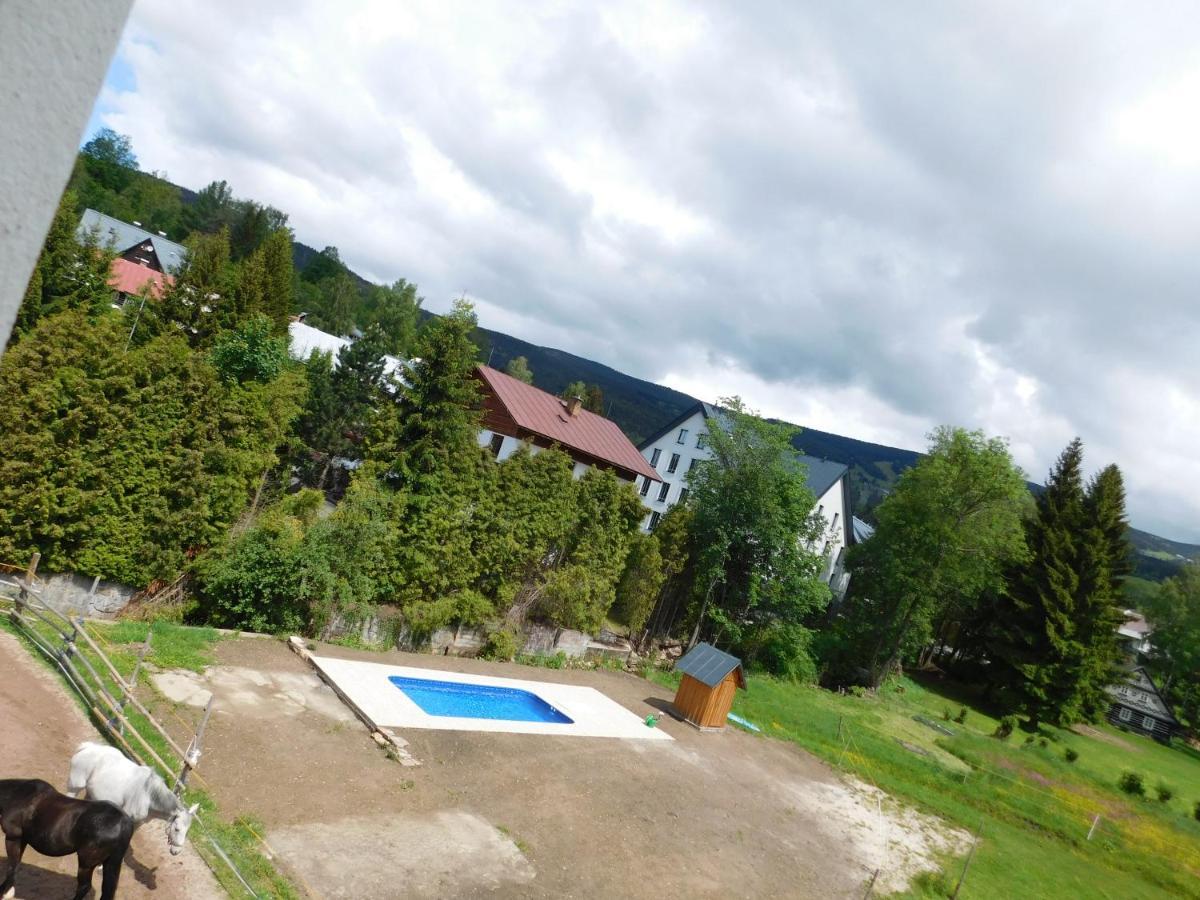Pension U Mojmira Rokytnice nad Jizerou Exteriör bild
